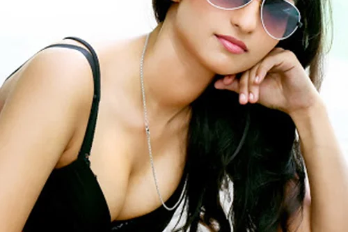 Defence Colony College Girl Escorts